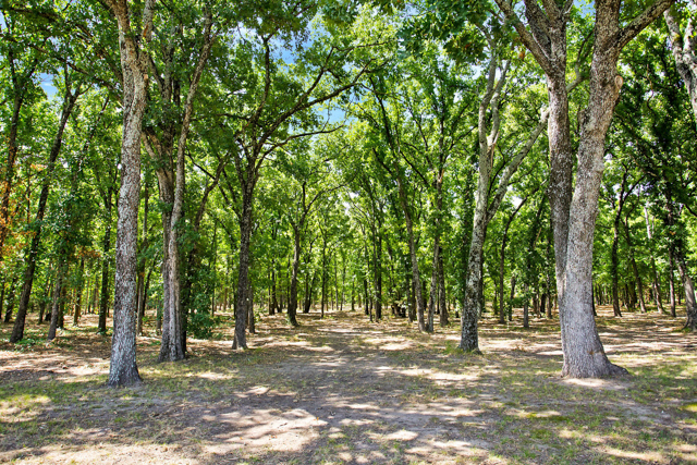 044-3767CountyRoad2512-RoyseCity-TX-75189-small-1