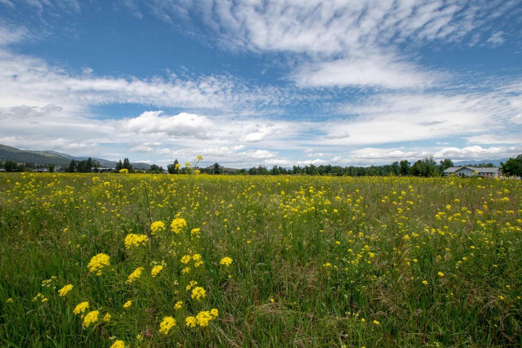 0d810269eb7107532d14b4c93caa481bl-m0xd-w1020_h770_q80-e1550884471753