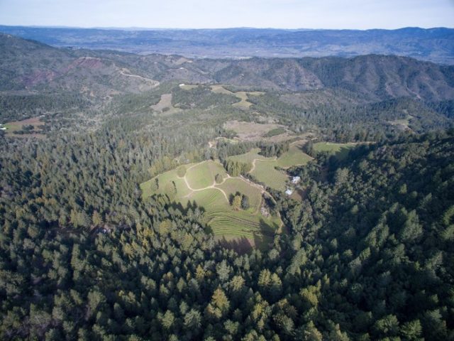 1-11.01.11-AM-e1531860775253