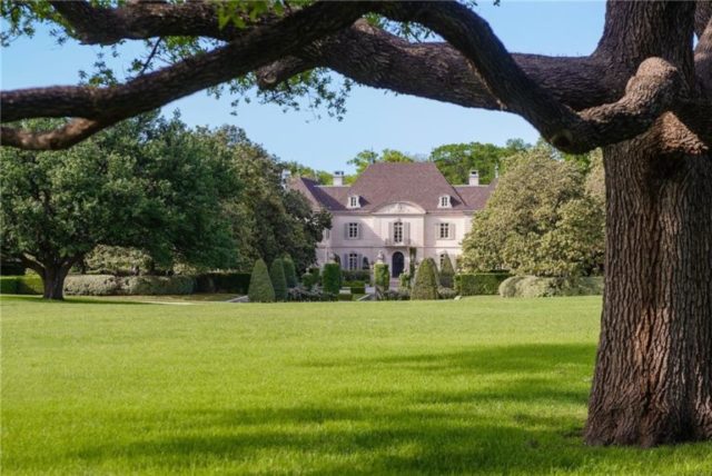 10000-Hollow-Way-tree-branch-shot-768x513-e1531972302468