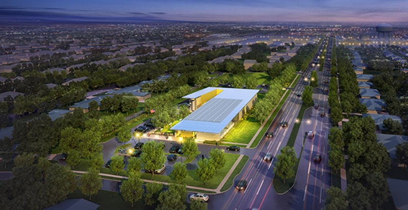 Quincy-Forest-1024x575