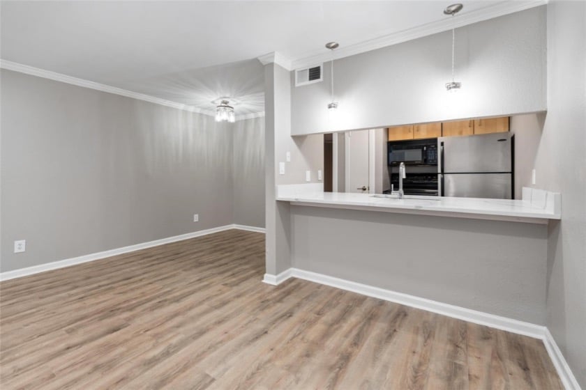 Oak Lawn Condo