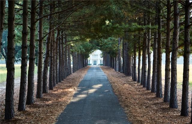 3773-County-Rd-drive-up-path