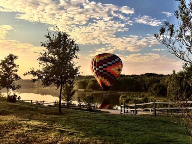 49716180_10156884096904144_8102822237628792832_n-e1554098985794