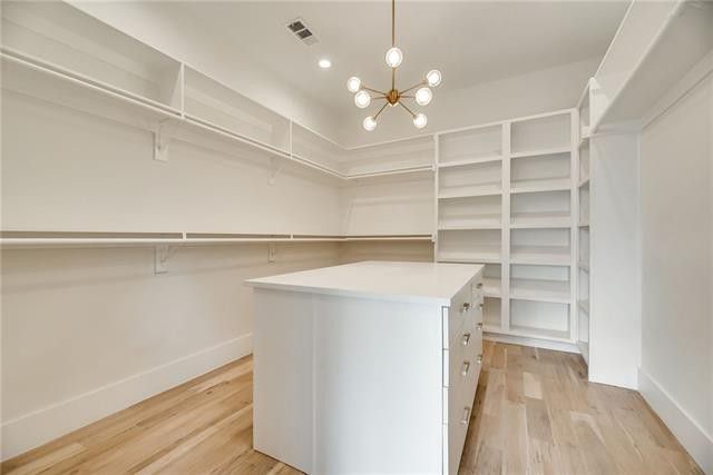 5406-Caladium-VECTOR