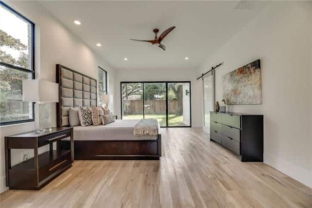 5406-Caladium-VECTOR