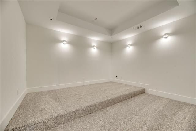 5406-Caladium-VECTOR