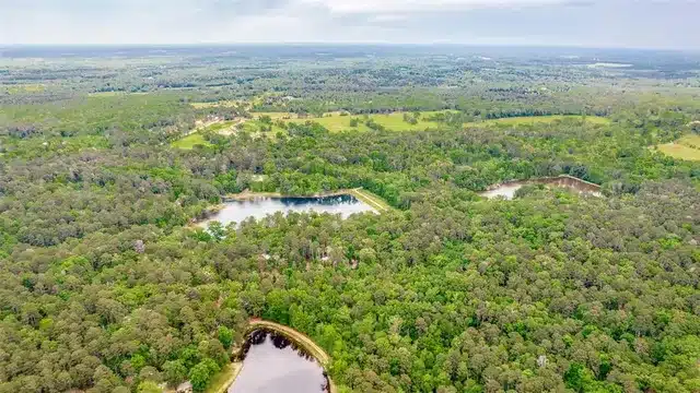 Explore this East Texas lake house. 