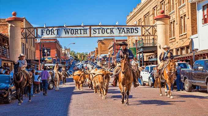 680x380_Herd1_51563364-f0ae-5102-046baabc0000c844