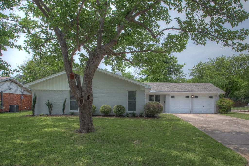 6813-Treehaven-31-1024x683