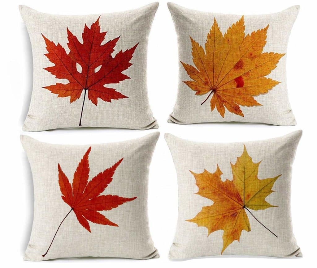 81IFBtlT-sL._SL1500_-e1568604357984-1024x742