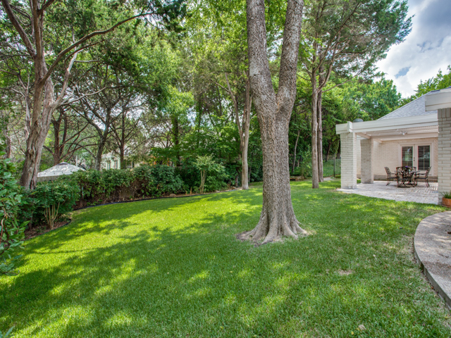 824-timber-ridge-vector