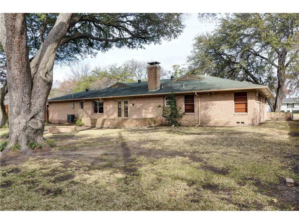 5406-Caladium-VECTOR