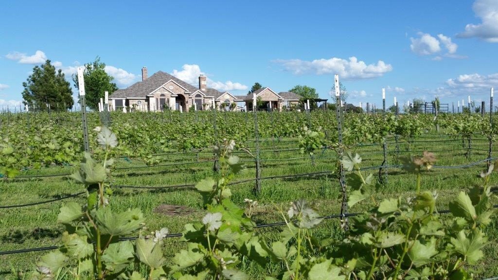 Celina-Garden-Tour-5-1024x576