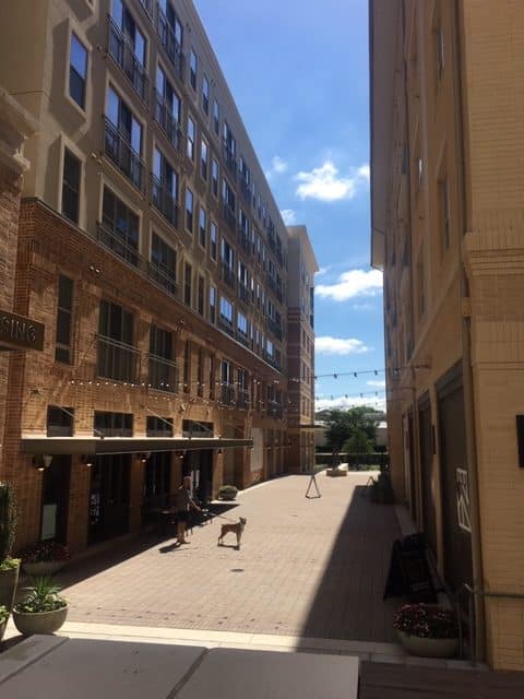 Novel-Davis-St-Exterior