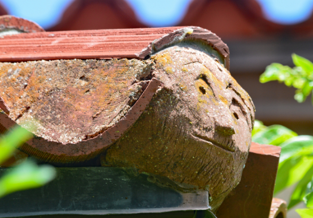 (Photo: Mimi Perez for CandyDirt.com)