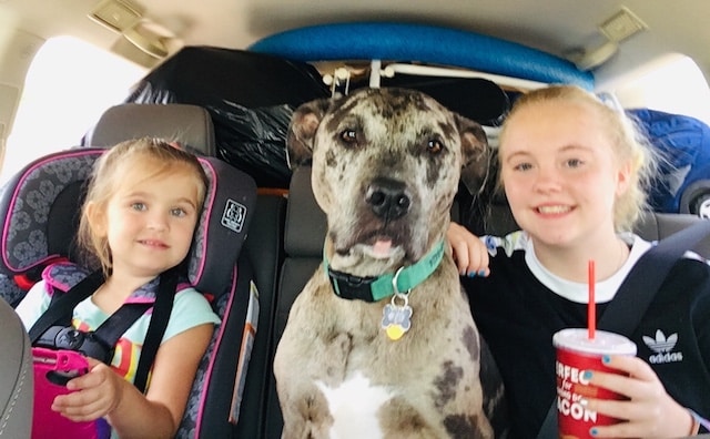 6918-Pasedena-bright-ext