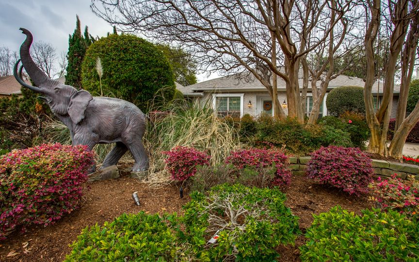 Elephant-on-Mockingbird
