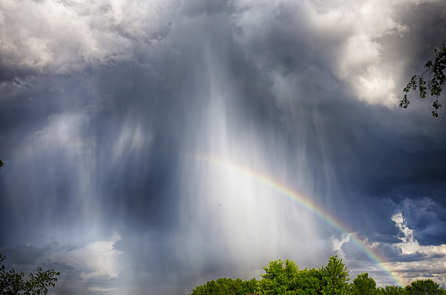 Flickrcredit_PatrickEmerson