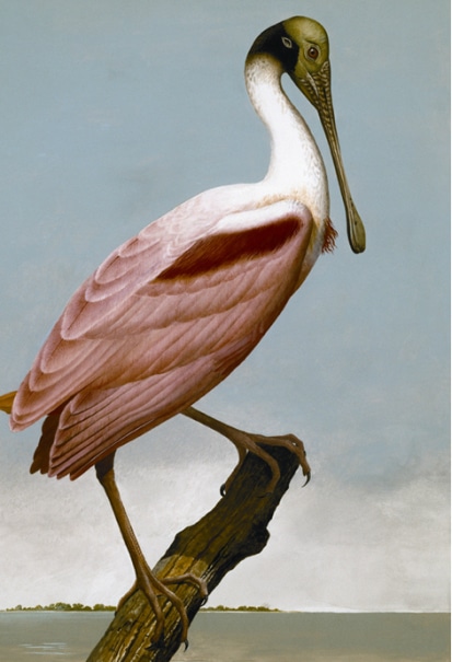 4928-Bryce-15a-1024x492