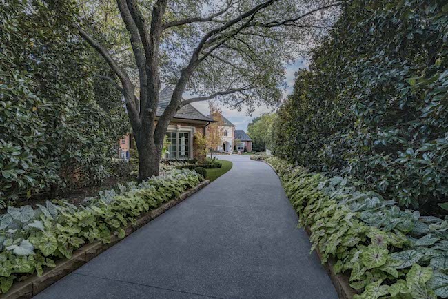 Screen-Shot-2018-08-15-at-2.31.52-AM