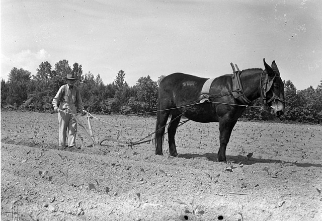 Lincoln-Farm-Plow