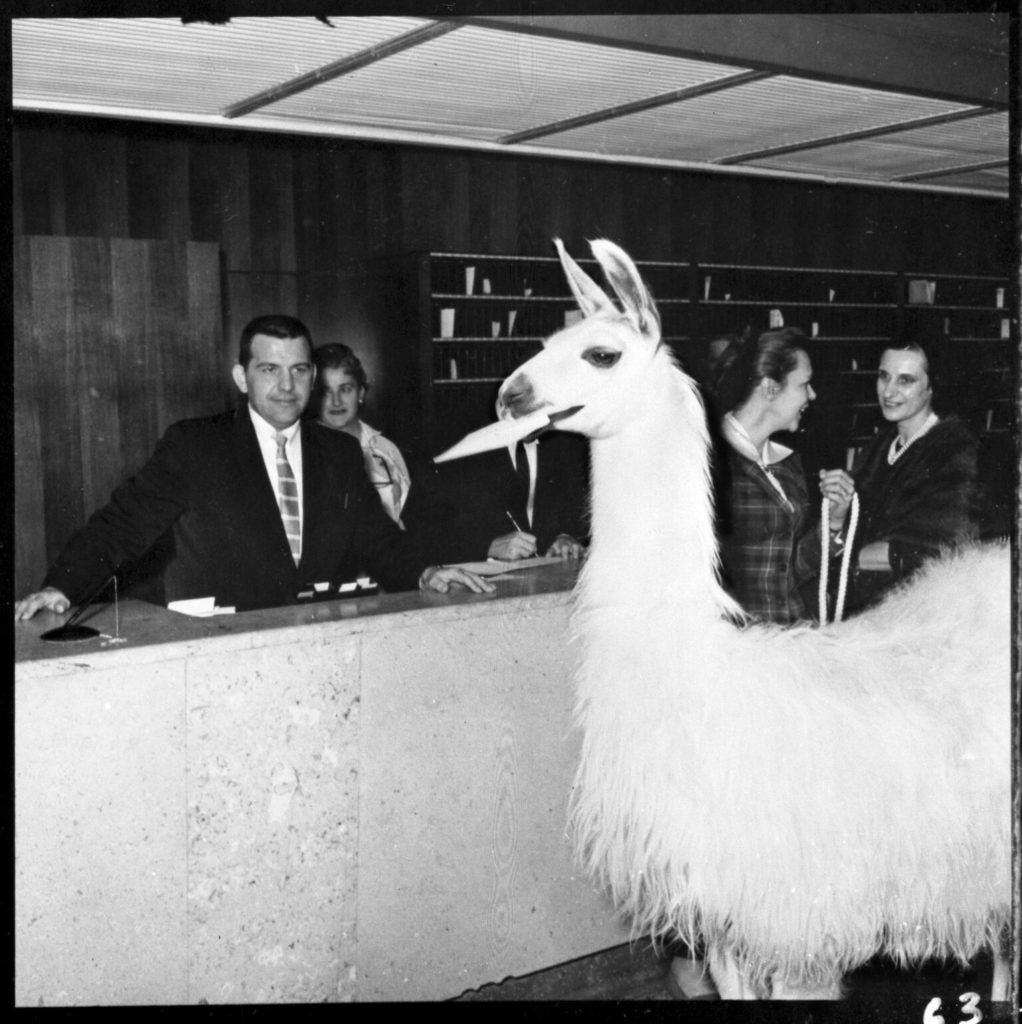 Statler-ext-rendering-1024x512