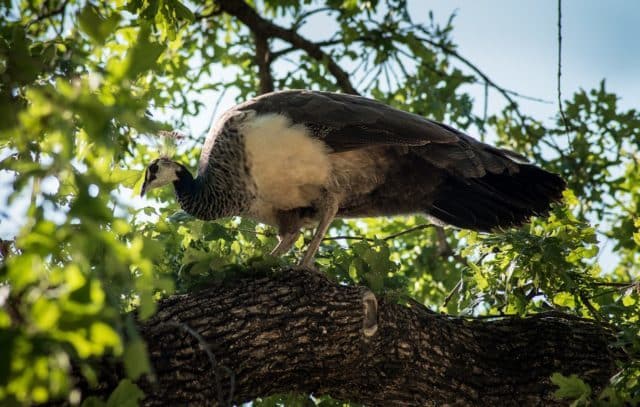 ISqx6h04jkeu020000000000-e1539364779786