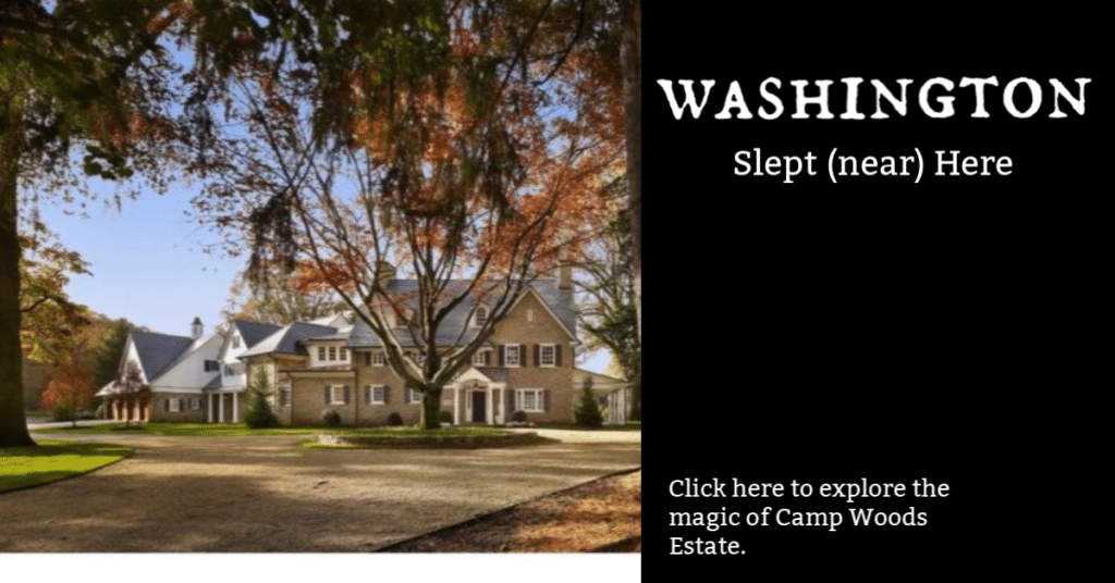 SScampwoodsCDtease-1024x536