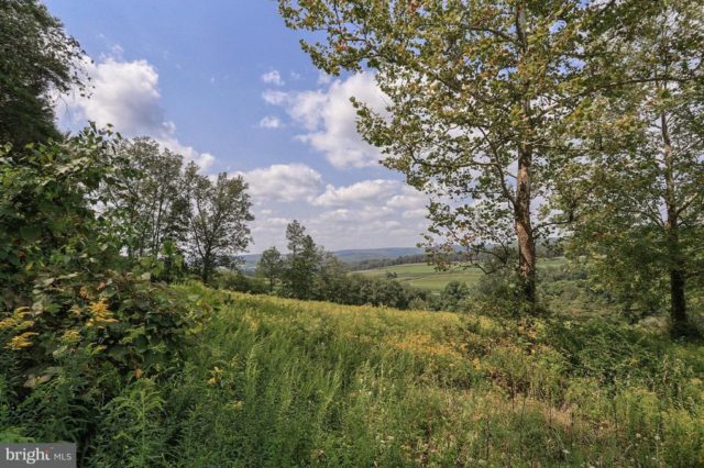 SSkittatinnymanor2-e1532839561698