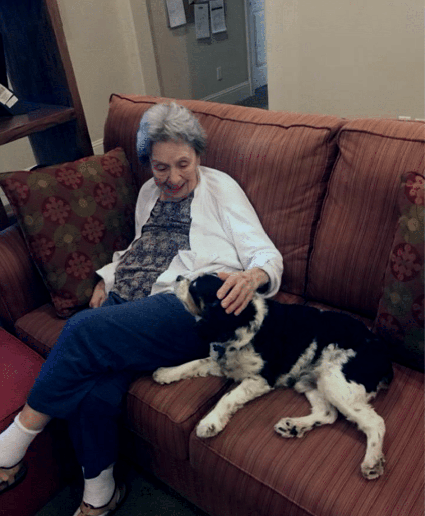 Screen-Shot-2019-09-11-at-2.46.50-AM-e1568252684463