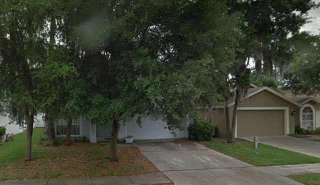 cat-3171124_960_720-e1533148020397