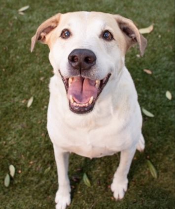 image1-e1515077936803-1024x858