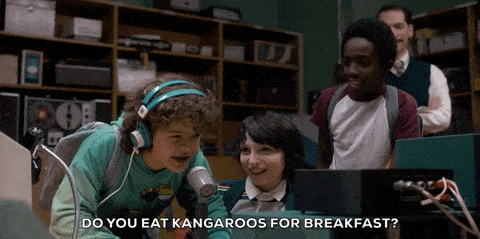 2015167772_1_1_190415_072309-w1200-h900-1-e1561527521433-1024x680