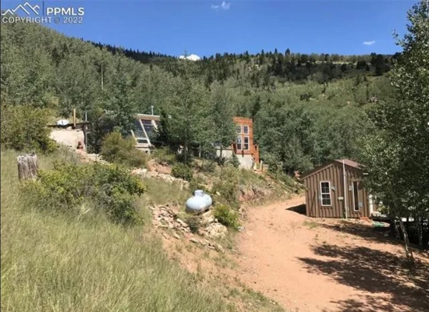 Boston bear, colorado, cabin