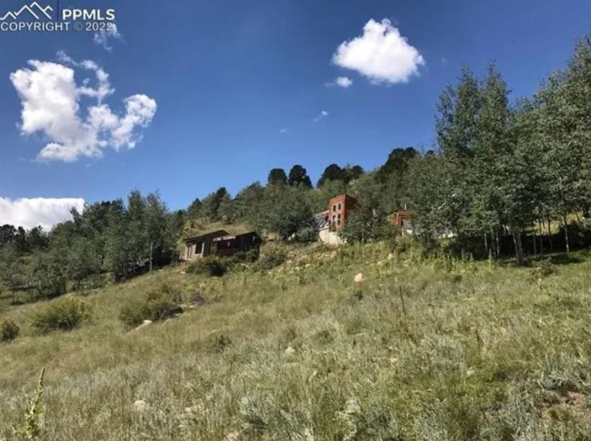 Boston bear, colorado, cabin
