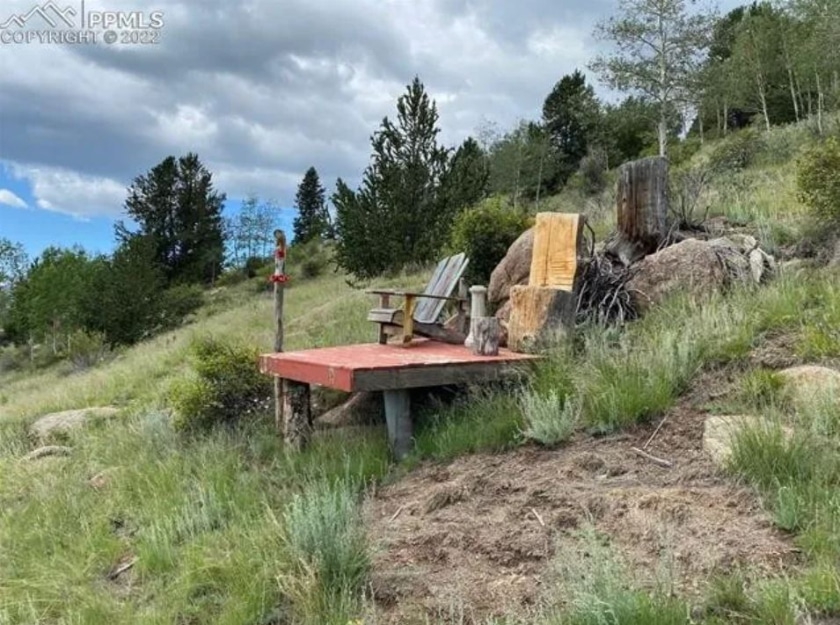 Boston bear, colorado, cabin