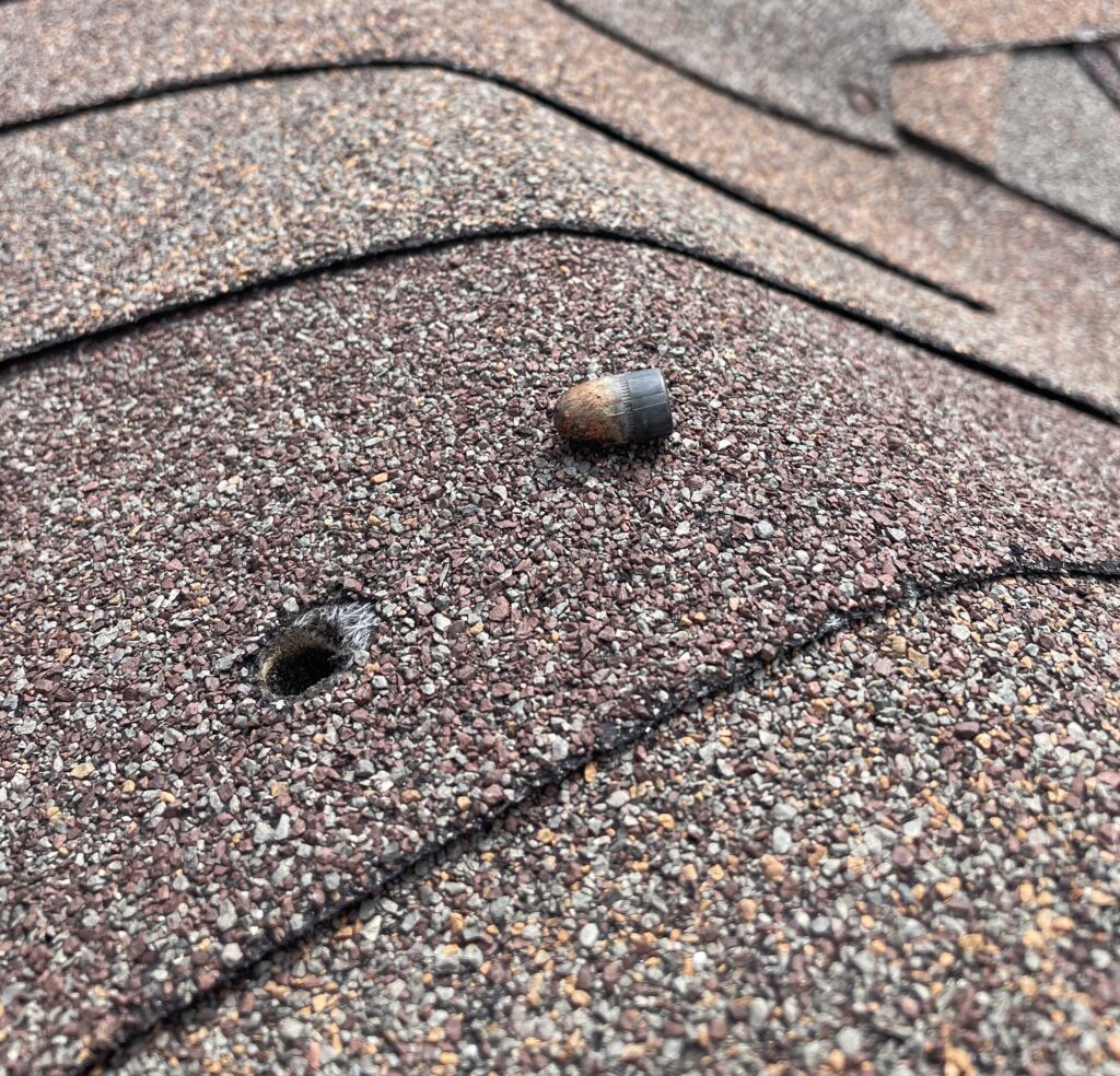 the real estate market