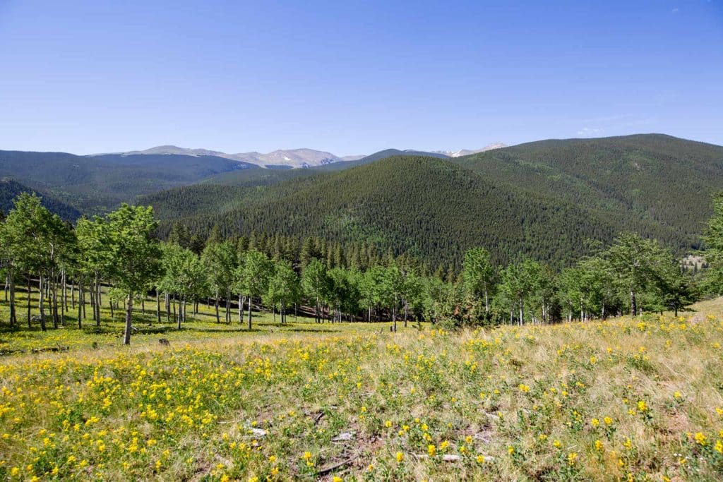 cascade-128-1024x683