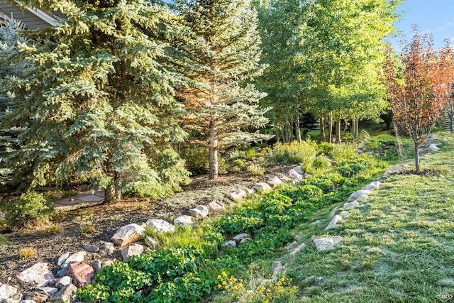 ce0200d9fe40300131988becae385285l-m0xd-w1020_h770_q80