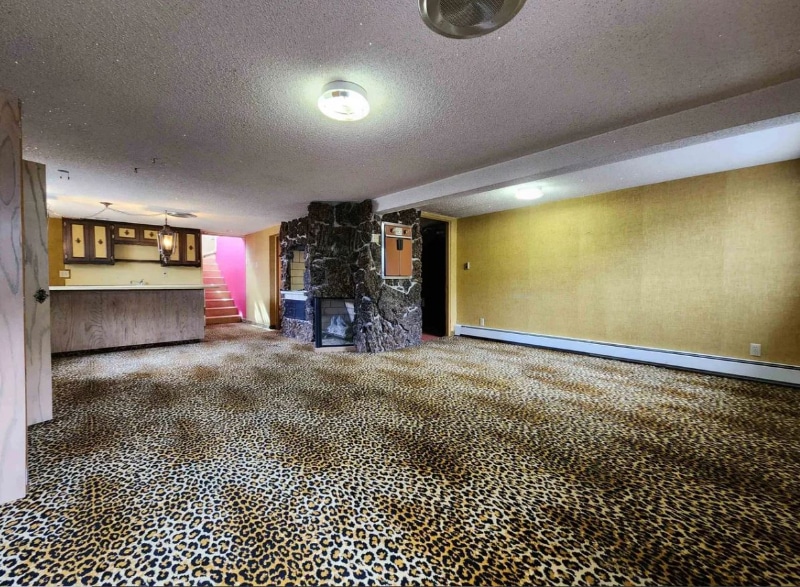 light fixture, disco, colorado