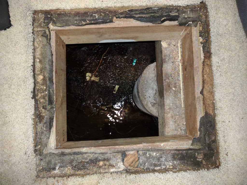 crawl-space-1