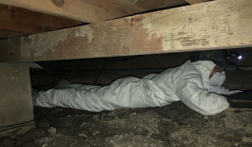 things home inspectors look for