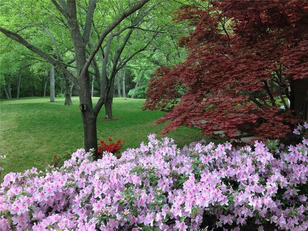 f9a43e0f7f7cb6da5c3edaf141569464l-w0xd-w1020_h770_q80