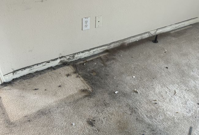 spring home maintenance tips