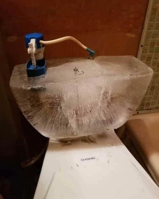 What To Do During A Freeze