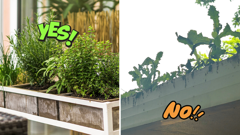 last minute Mother's Day gift