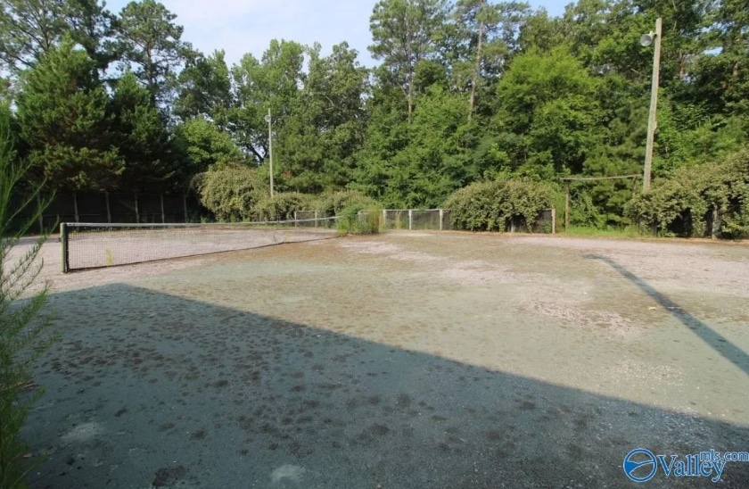 pickleball, Alabama, horror