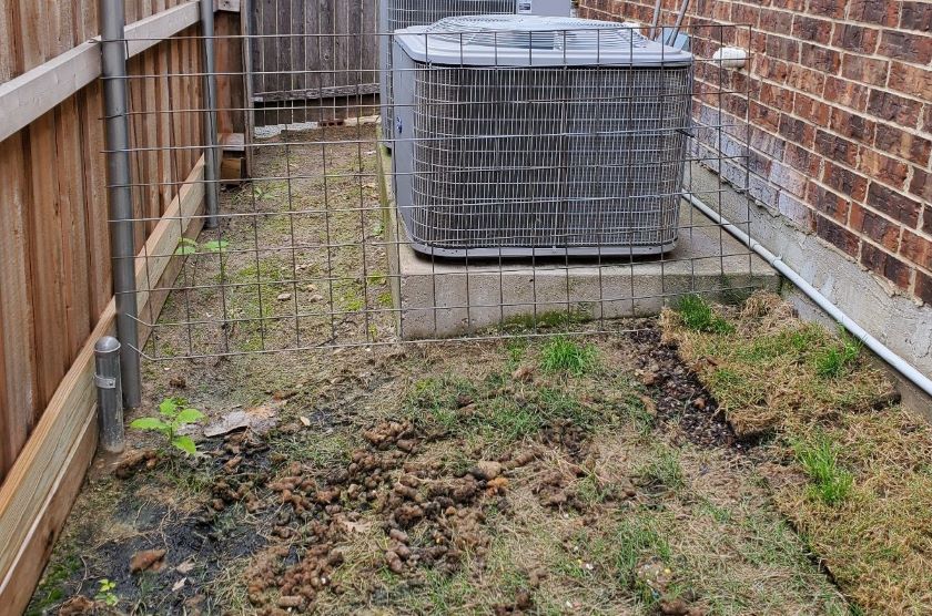 last minute Mother's day gift