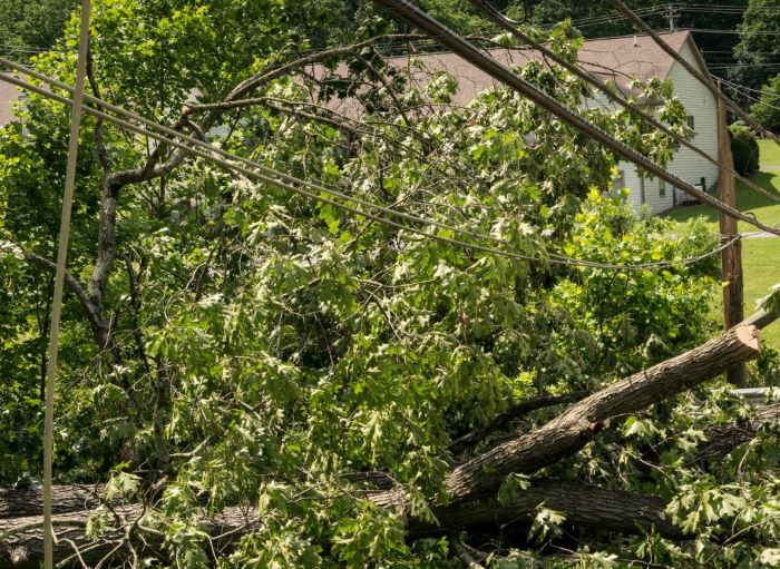 How Does My Home Electrical System Work?